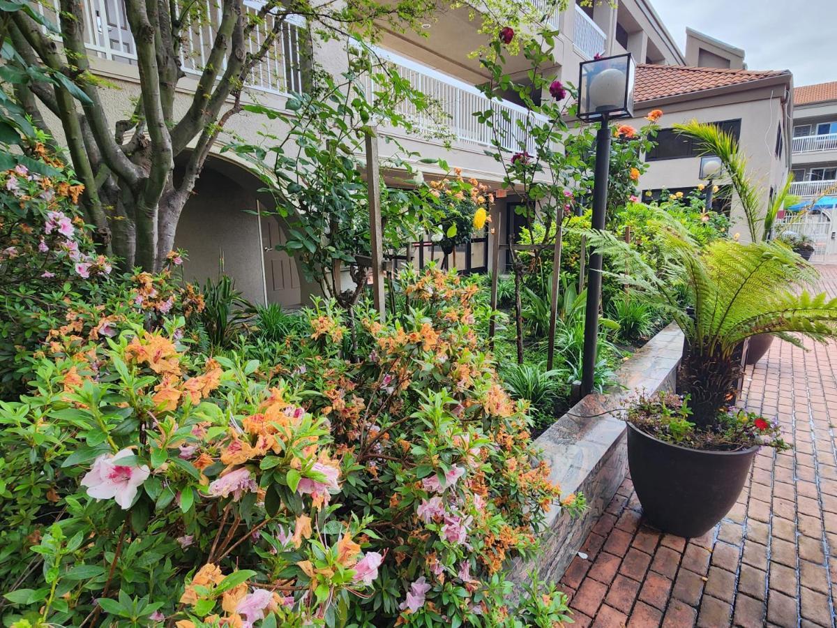La Quinta By Wyndham San Francisco Airport West Hotel Millbrae Exterior foto