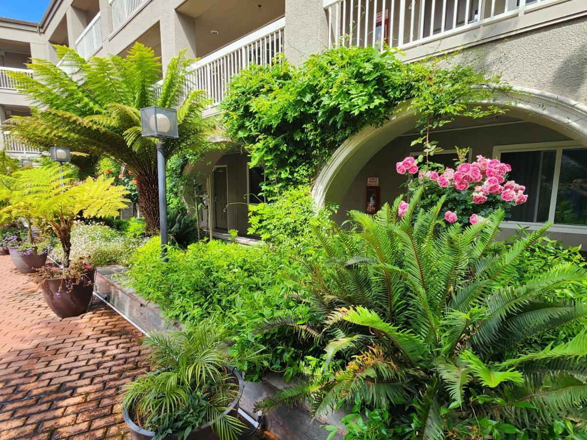 La Quinta By Wyndham San Francisco Airport West Hotel Millbrae Exterior foto