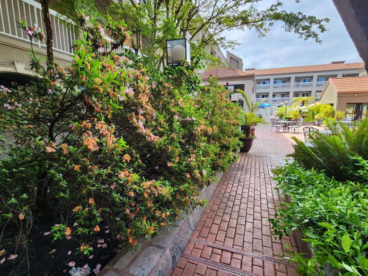 La Quinta By Wyndham San Francisco Airport West Hotel Millbrae Exterior foto