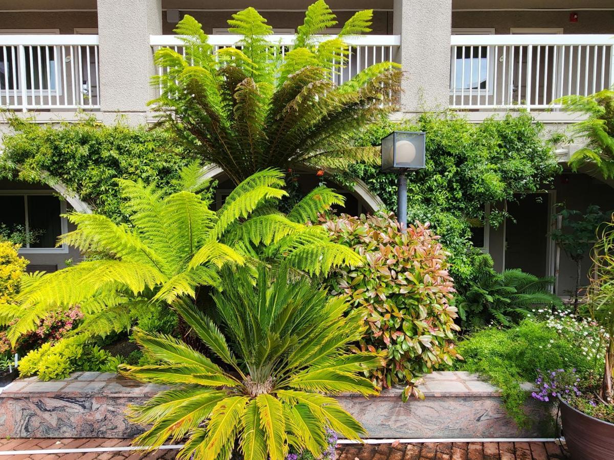 La Quinta By Wyndham San Francisco Airport West Hotel Millbrae Exterior foto
